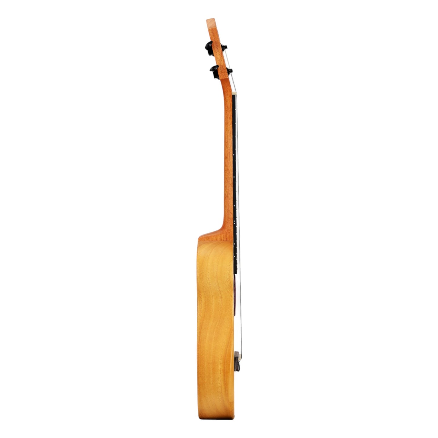 Caraya Solid Carved Paulownia Body Tenor Ukulele w/ Purpleheart Waterfall Soundhole - GAT50 + Stand