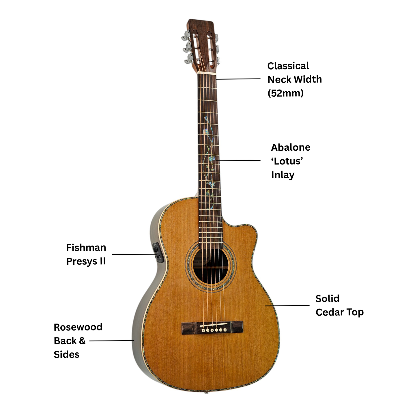 Haze HSC100 'Lotus Duo' Acoustic Guitar - Solid Cedar HCS100CEQ