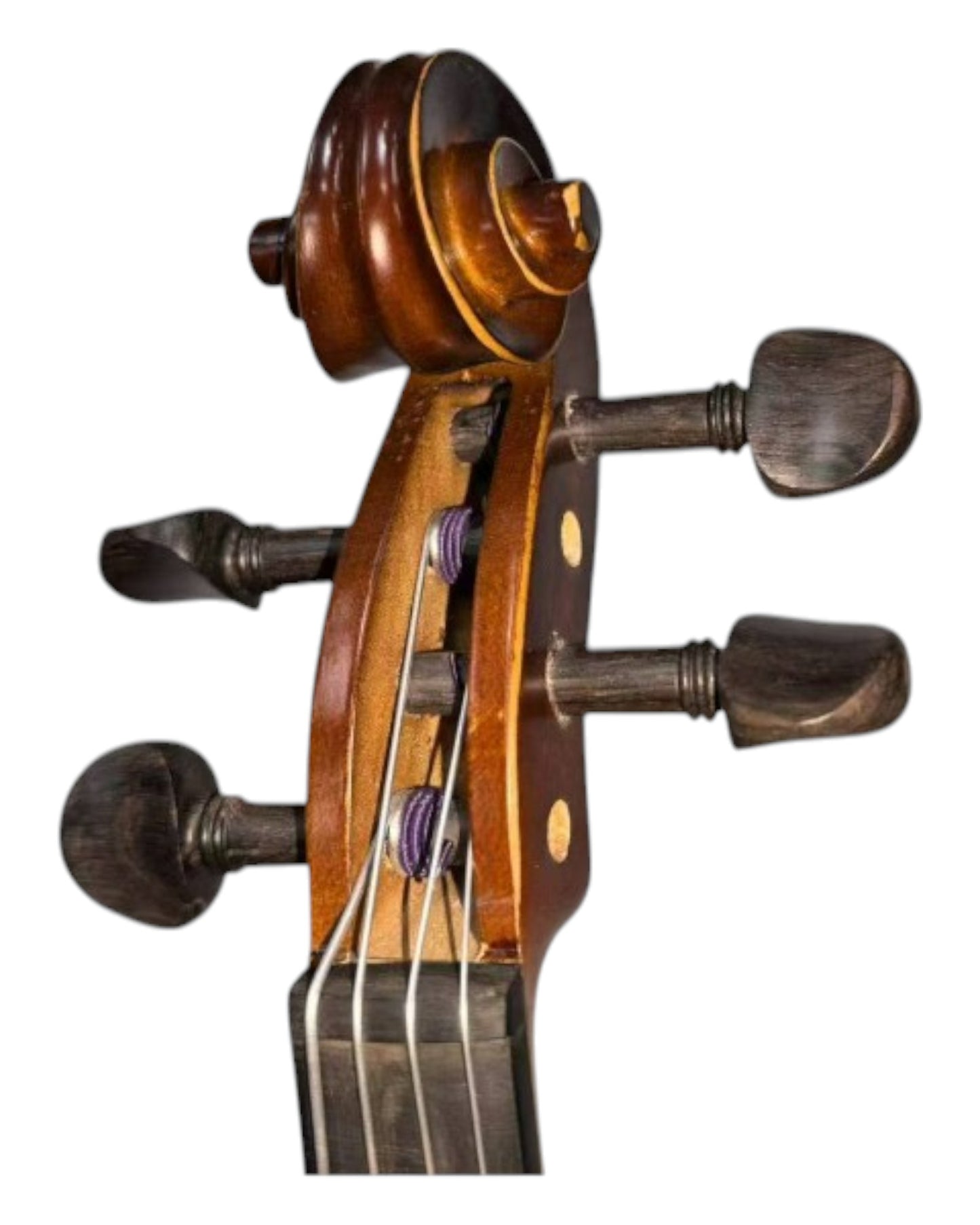 Symphony GA25 "Professional Series" Viola Outfit in 14", 13" and 12" Sizes