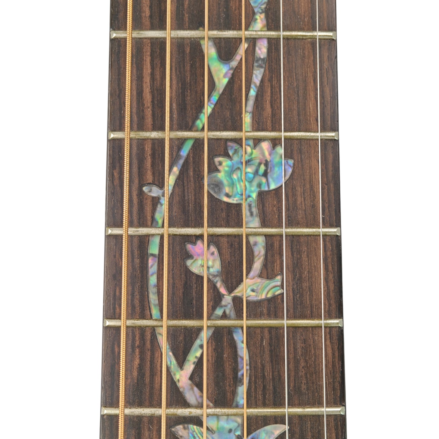 Haze HSC100 'Lotus Duo' Acoustic Guitar - Solid Cedar HCS100CEQ
