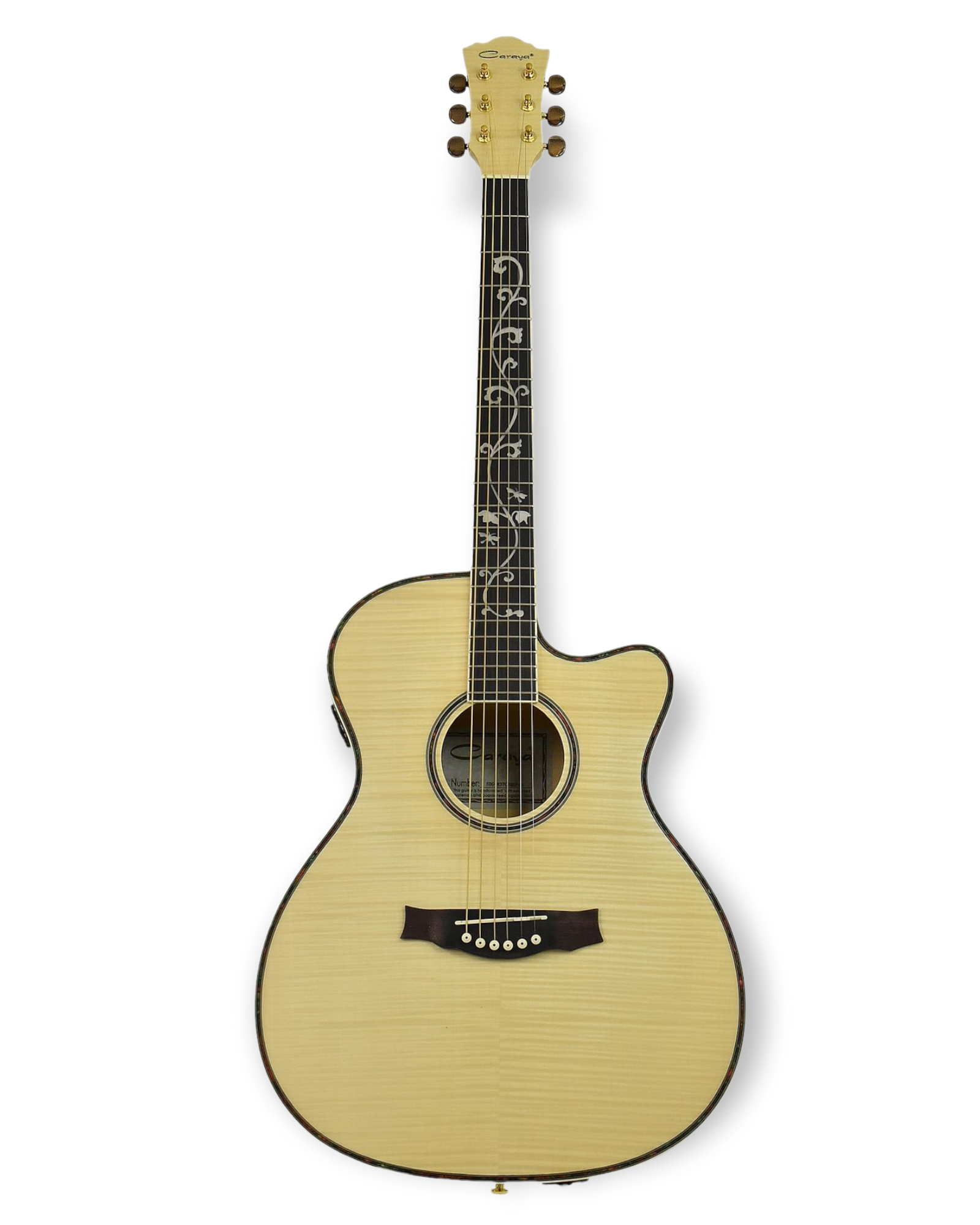 Acoustic guitar with sales speaker built in