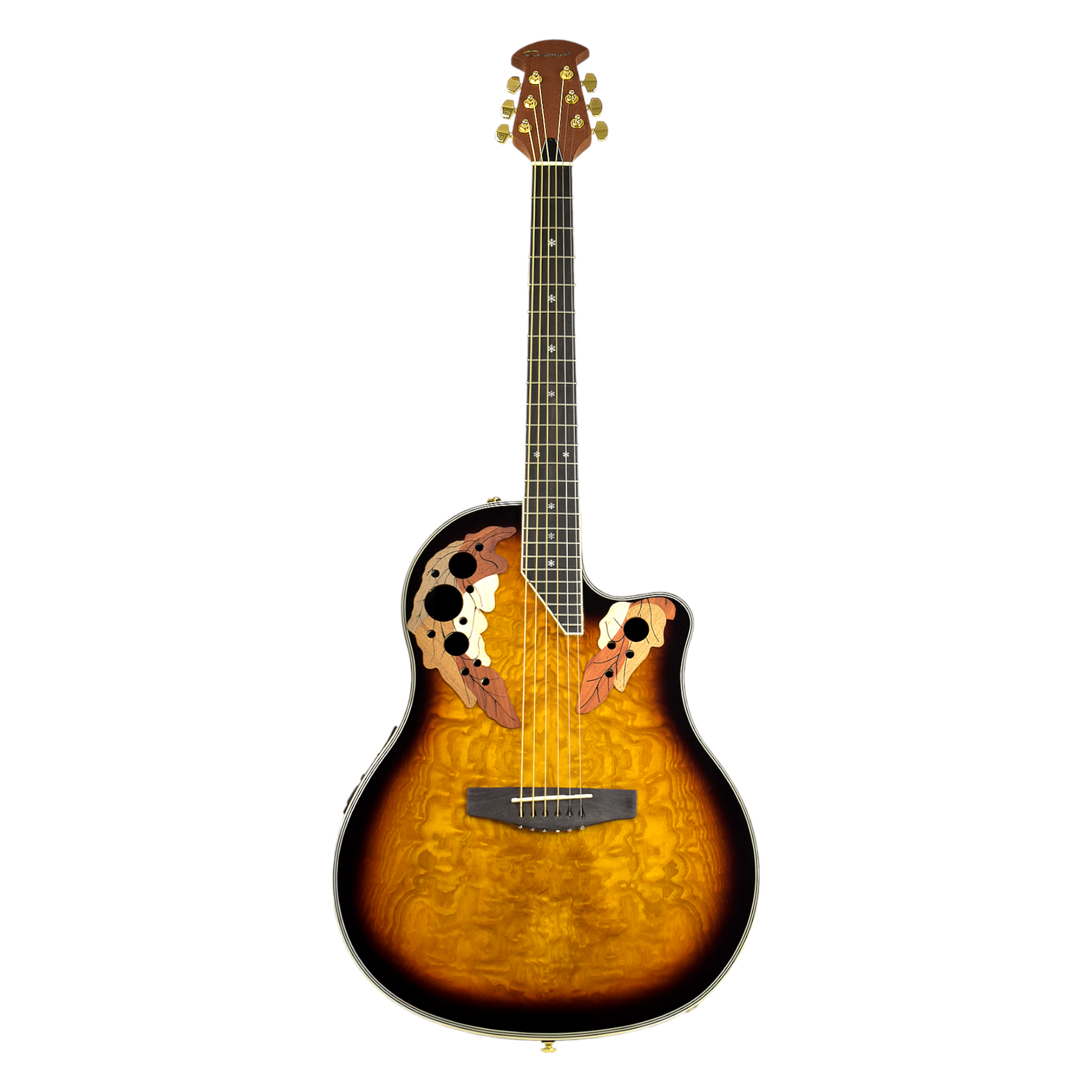 Caraya Roundback Built-In Pickups Fibre Glass Back Acoustic Guitar