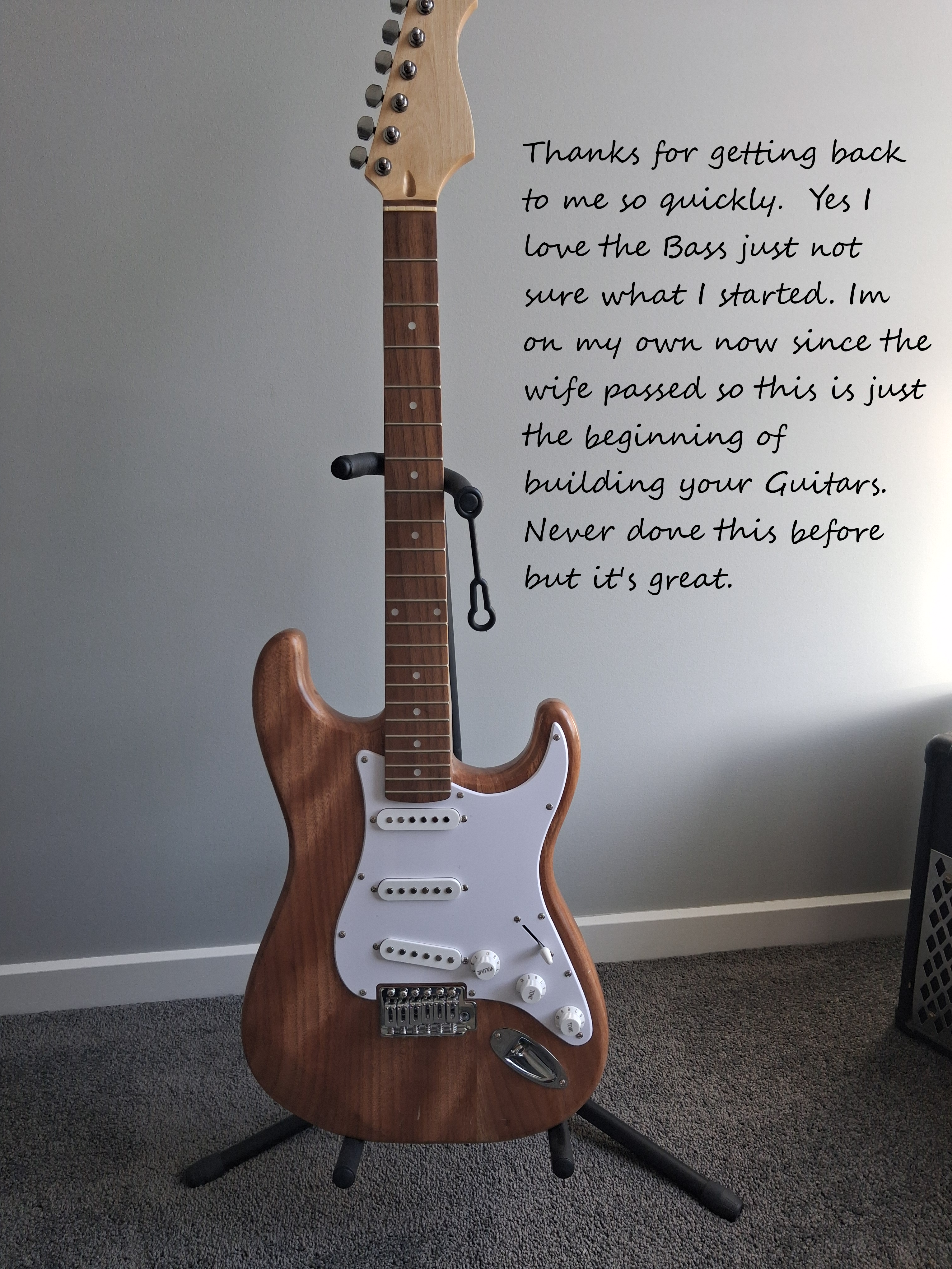 E200MDIY Mahogany Body Electric Guitar DIY Kit, No-Soldering, SSS