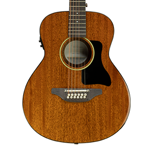 Haze P30411112EQN 12-String 36" Saddle Height Adjustable Acoustic Guitar - Natural