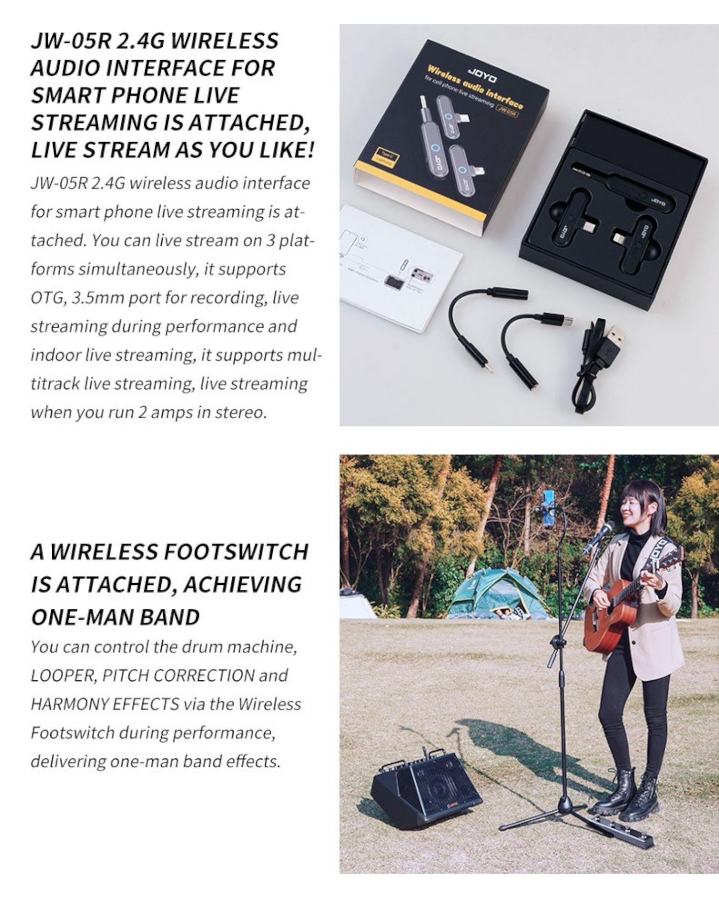 Joyo 150W Professional Multifunctional Rechargeable Outdoor Amp w/ Wireless Footswitch & Smartphone Interface - BSK150