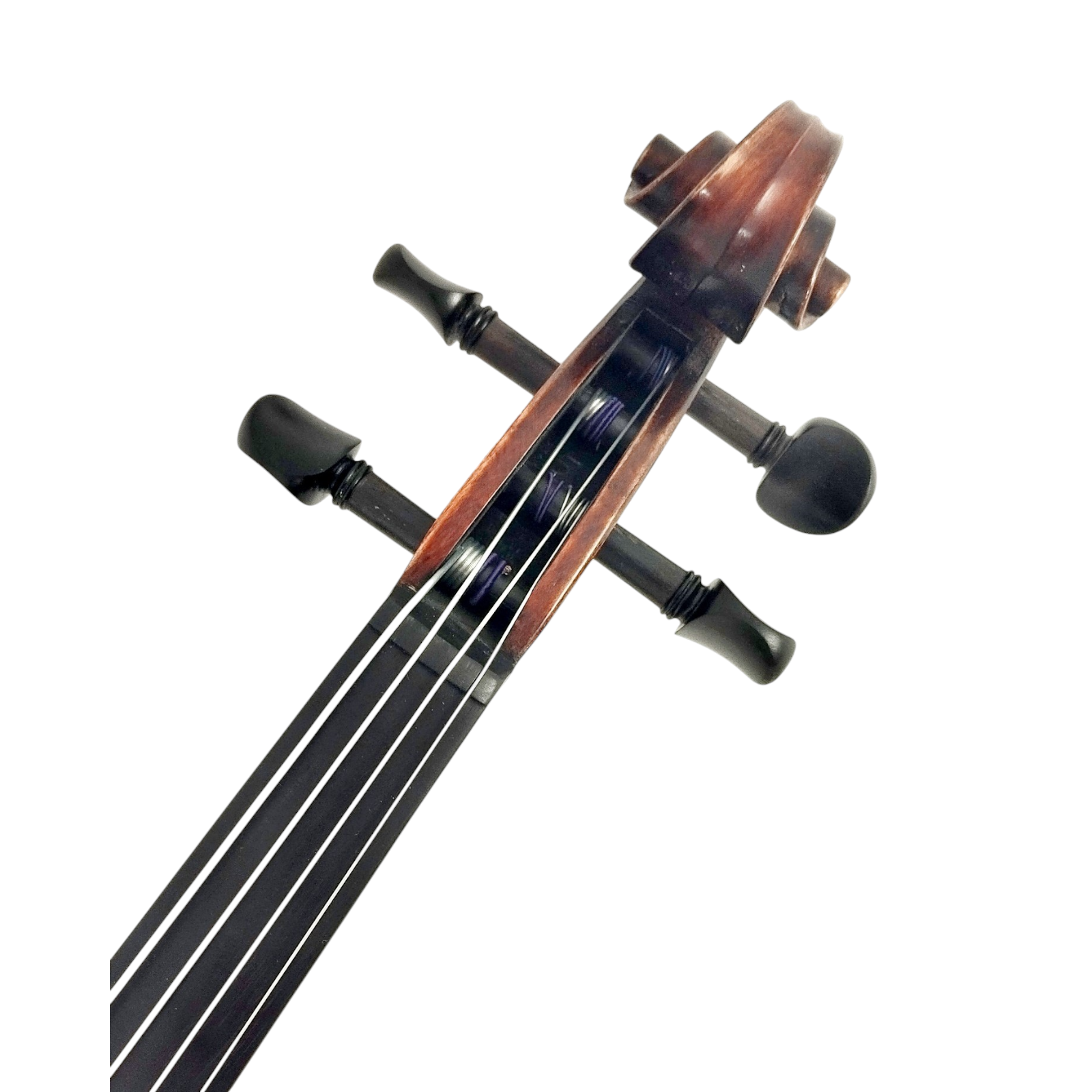 Enraptured Melodies: The AA80 Symphony Viola
