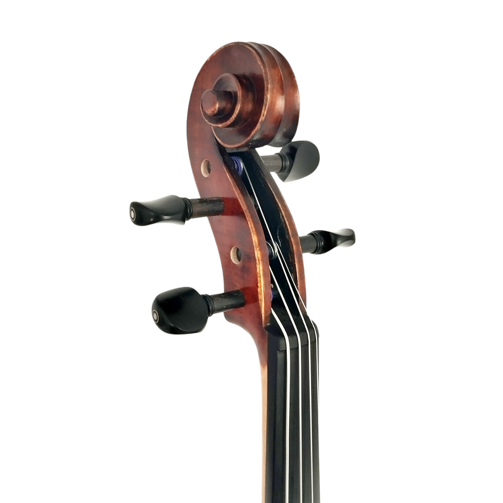 Enraptured Melodies: The AA80 Symphony Viola