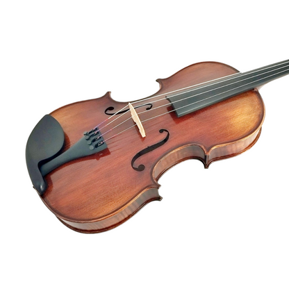 Enraptured Melodies: The AA80 Symphony Viola