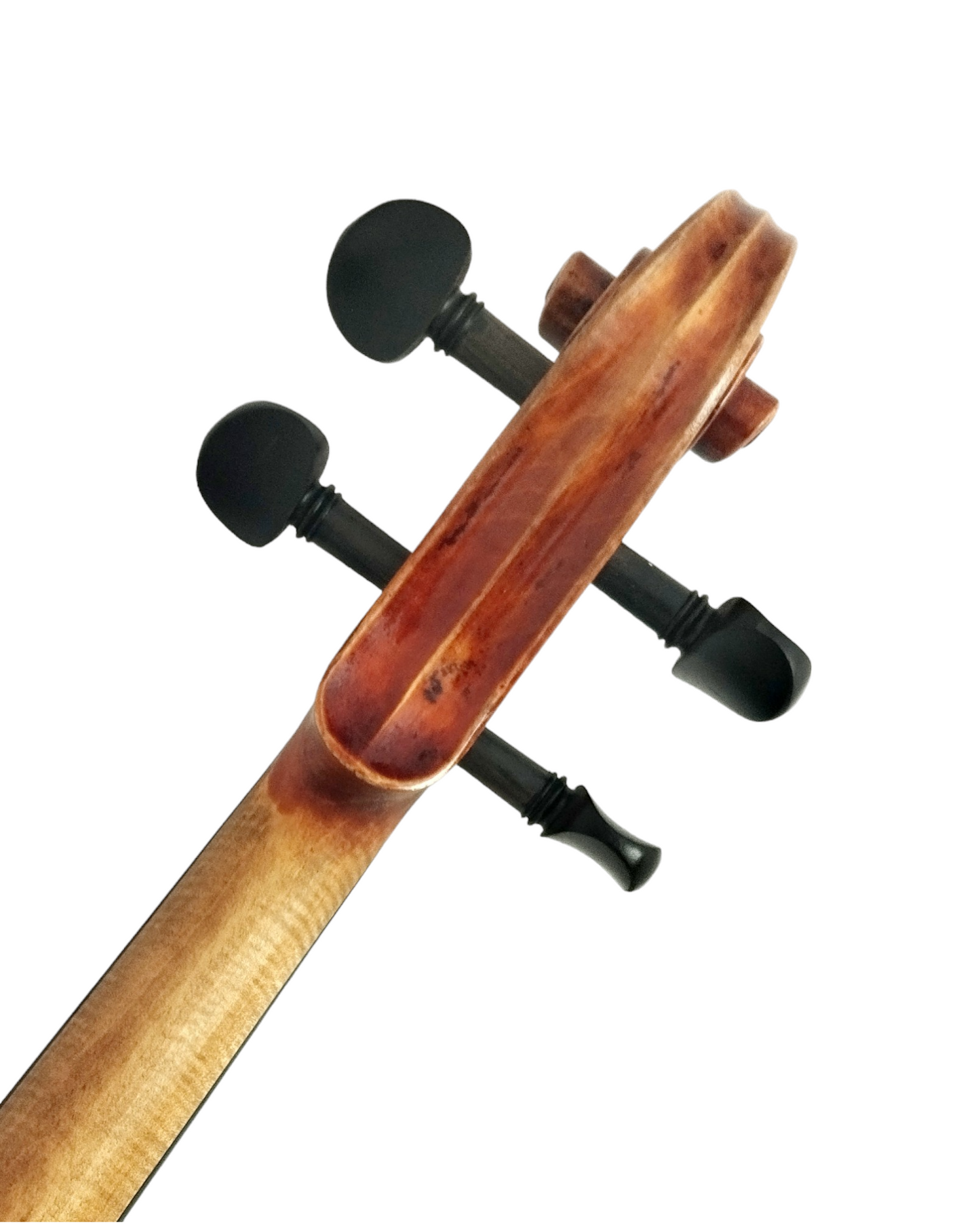 Harmonic Brilliance, The AVA110 Symphony Violin