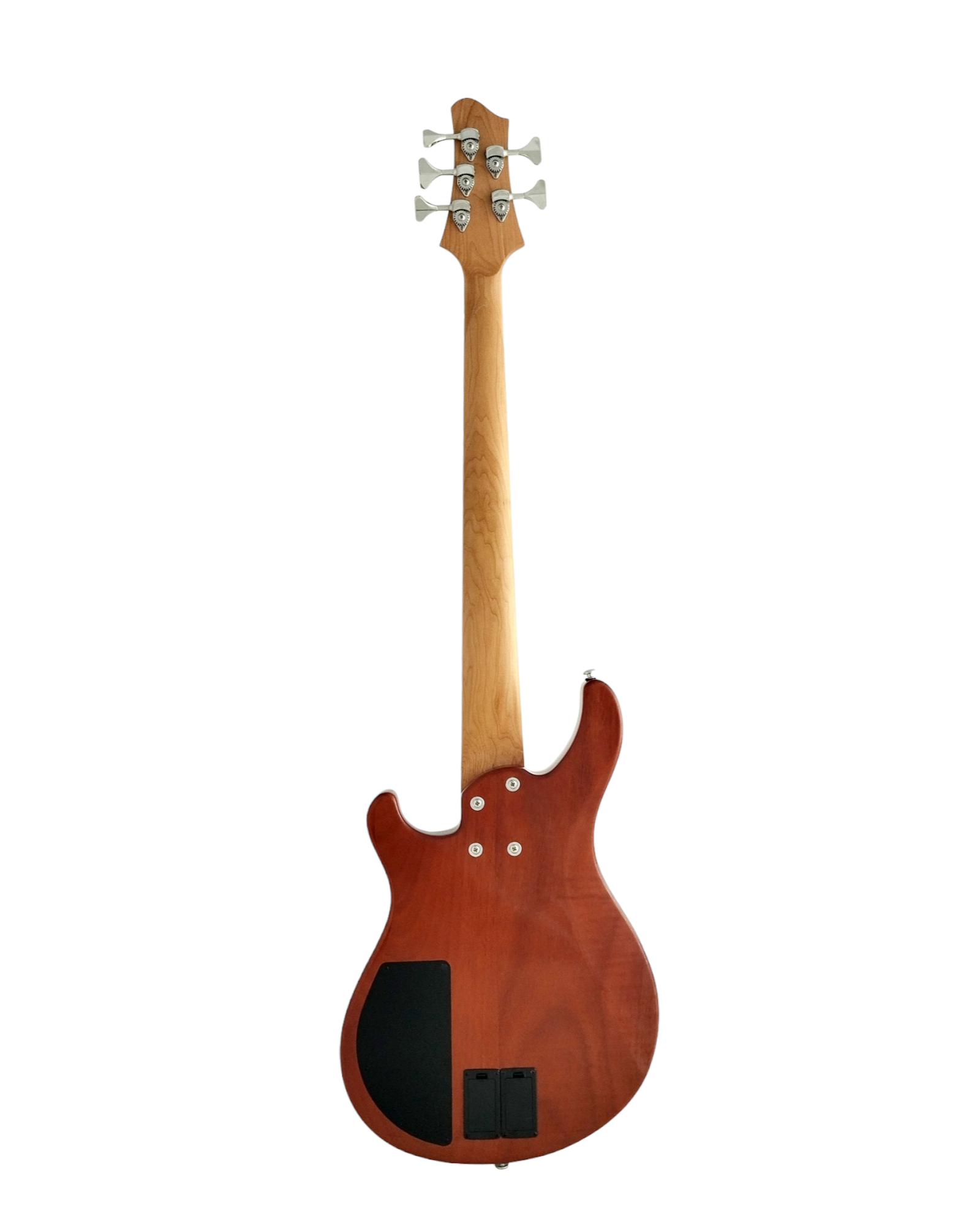 An Exquisite 5th String Bass Guitar with Superior Sound Quality BASS5