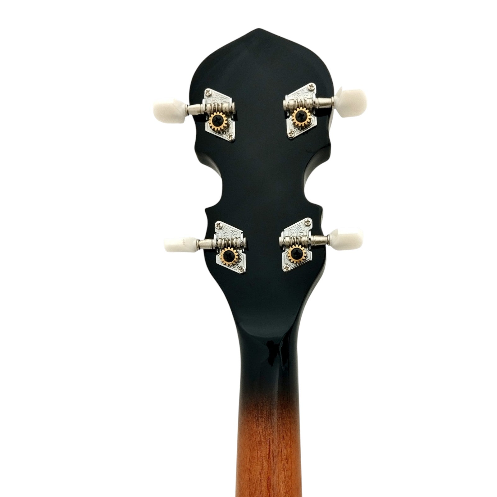 Caraya 4-String Mahogany Body Resonator Tenor Banjo - Natural BJ004