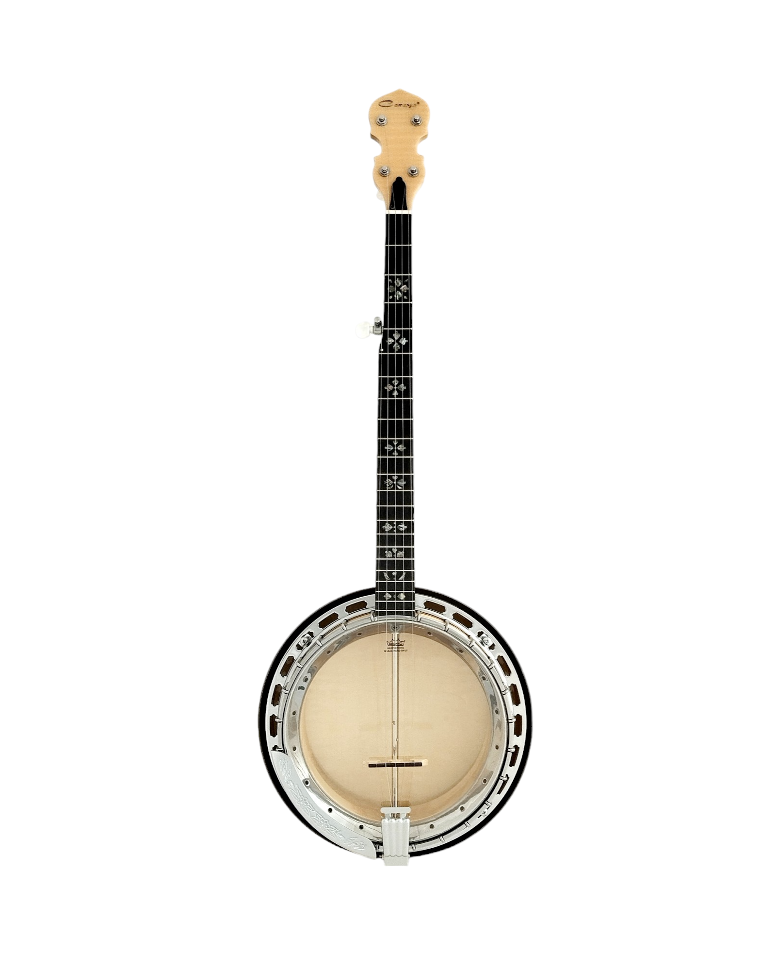 The Harmony of Tradition and Innovation BJ009AM 5-String Banjo with hardcase