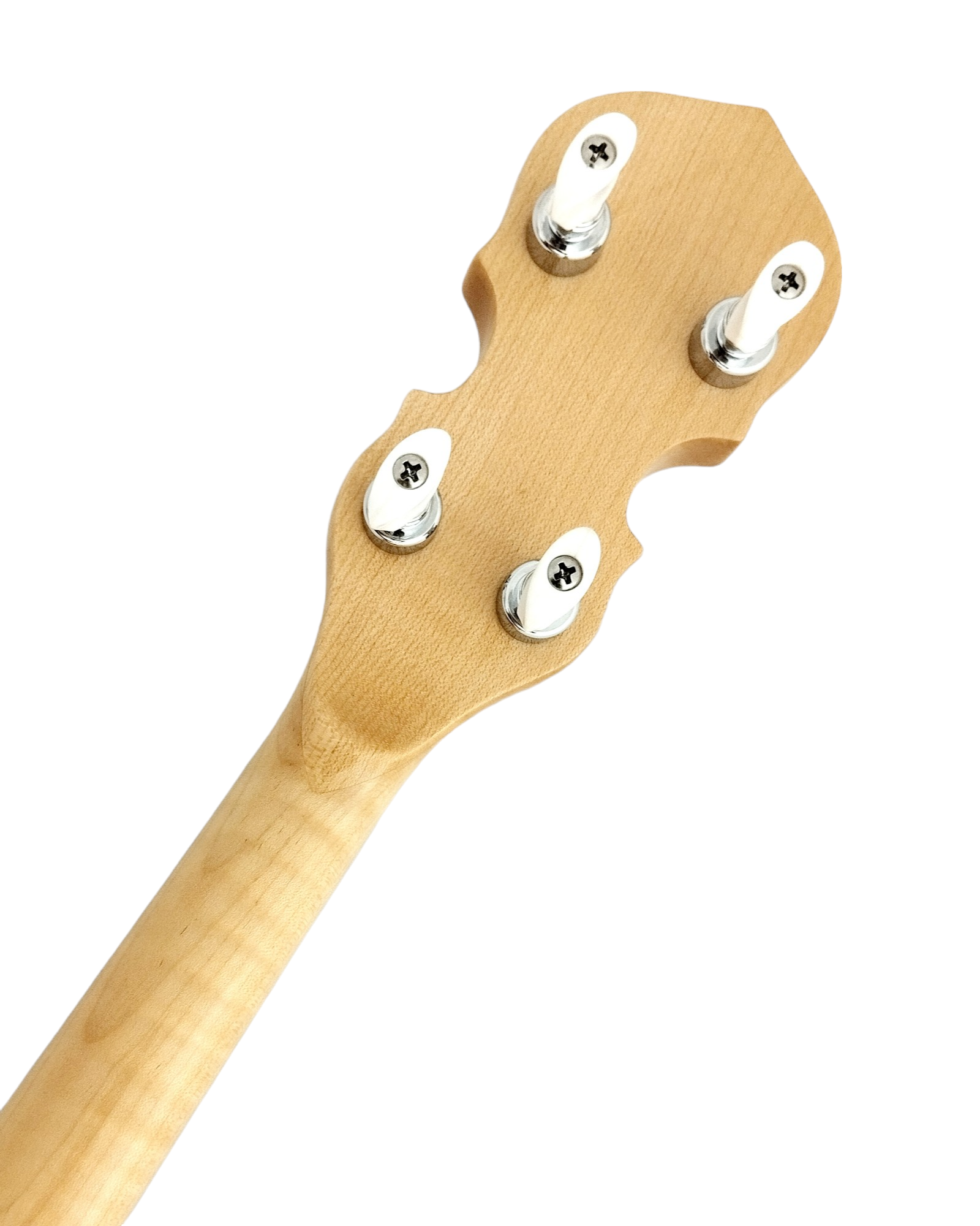 The Harmony of Tradition and Innovation BJ009AM 5-String Banjo with hardcase