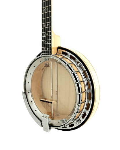 The Harmony of Tradition and Innovation BJ009AM 5-String Banjo