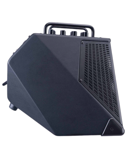 Joyo 150W Professional Multifunctional Rechargeable Outdoor Amp w/ Wireless Footswitch & Smartphone Interface - BSK150