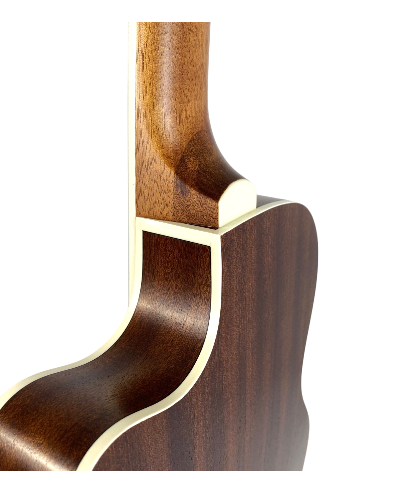 Haze Solid Spruce Fretless Arched Back Thin Body Classical Guitar w/ Built-In Pickups & Tuner in Matte - C551BCEQSMFL