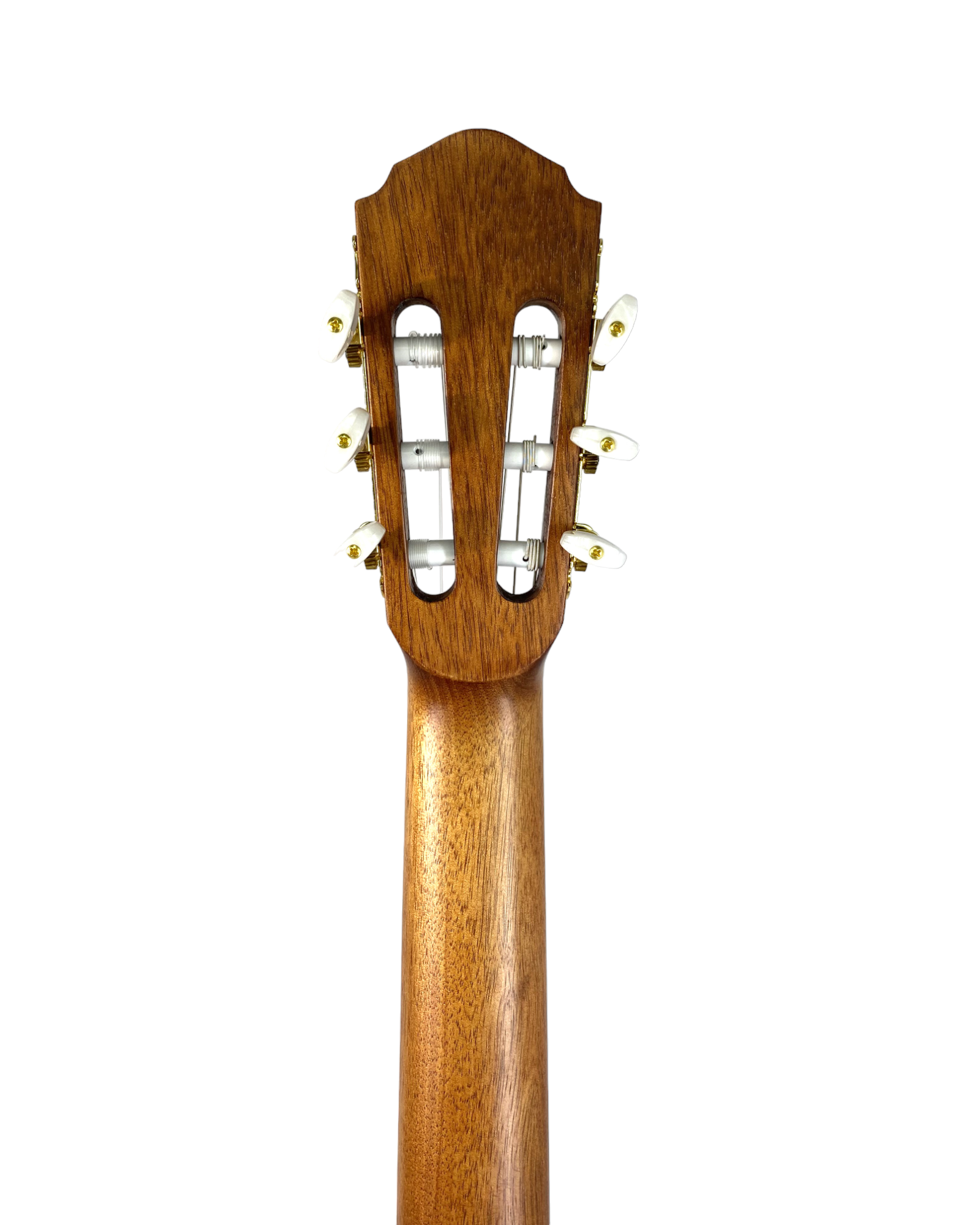Haze Solid Spruce Fretless Arched Back Thin Body Classical Guitar w/ Built-In Pickups & Tuner in Matte - C551BCEQSMFL