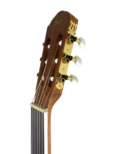 Haze Solid Top Fretless Arched Back Classical Guitar - Matte C551BCEQSMFL