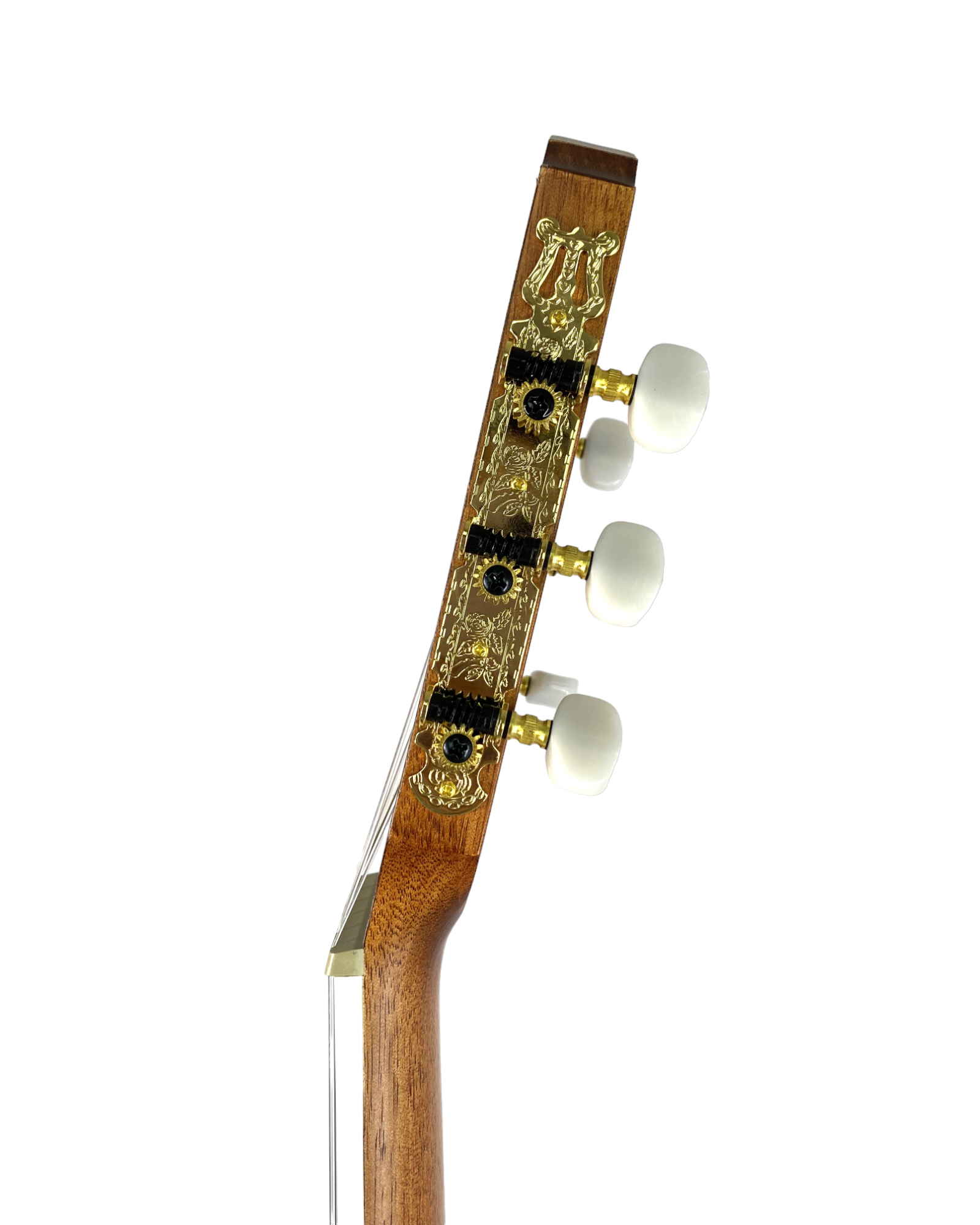 Haze Solid Spruce Fretless Arched Back Thin Body Classical Guitar w/ Built-In Pickups & Tuner in Matte - C551BCEQSMFL