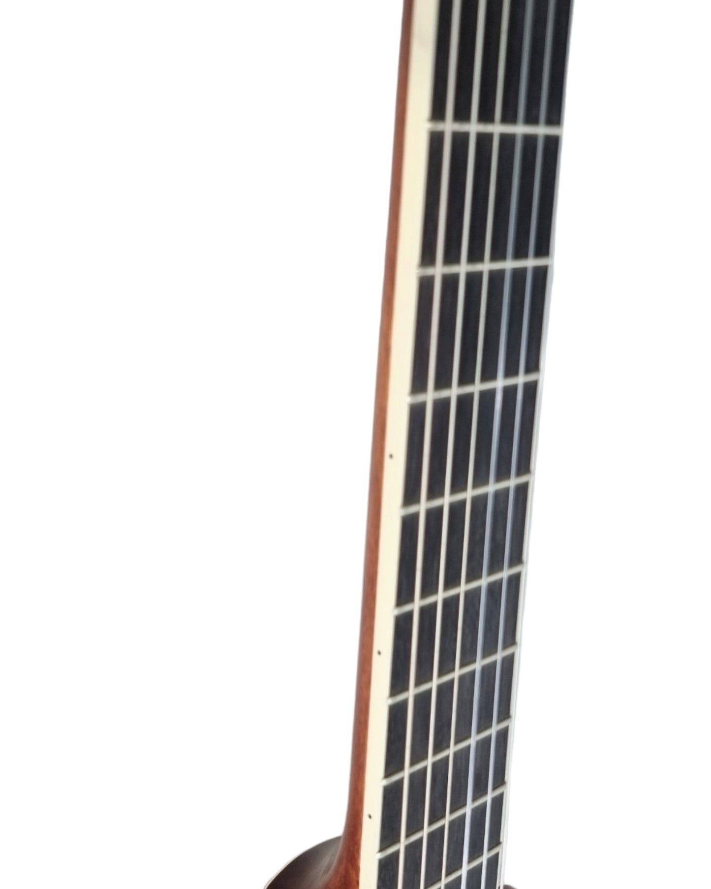 Haze Solid Top Thin Body Arched Back Classical Guitar - Matte C551BCEQSM