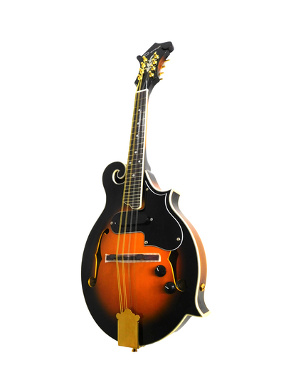 Caraya MA008EQVSHC F-Style Solid Top Electric-Mandolin, Vintage Sunburst + Hard Case
