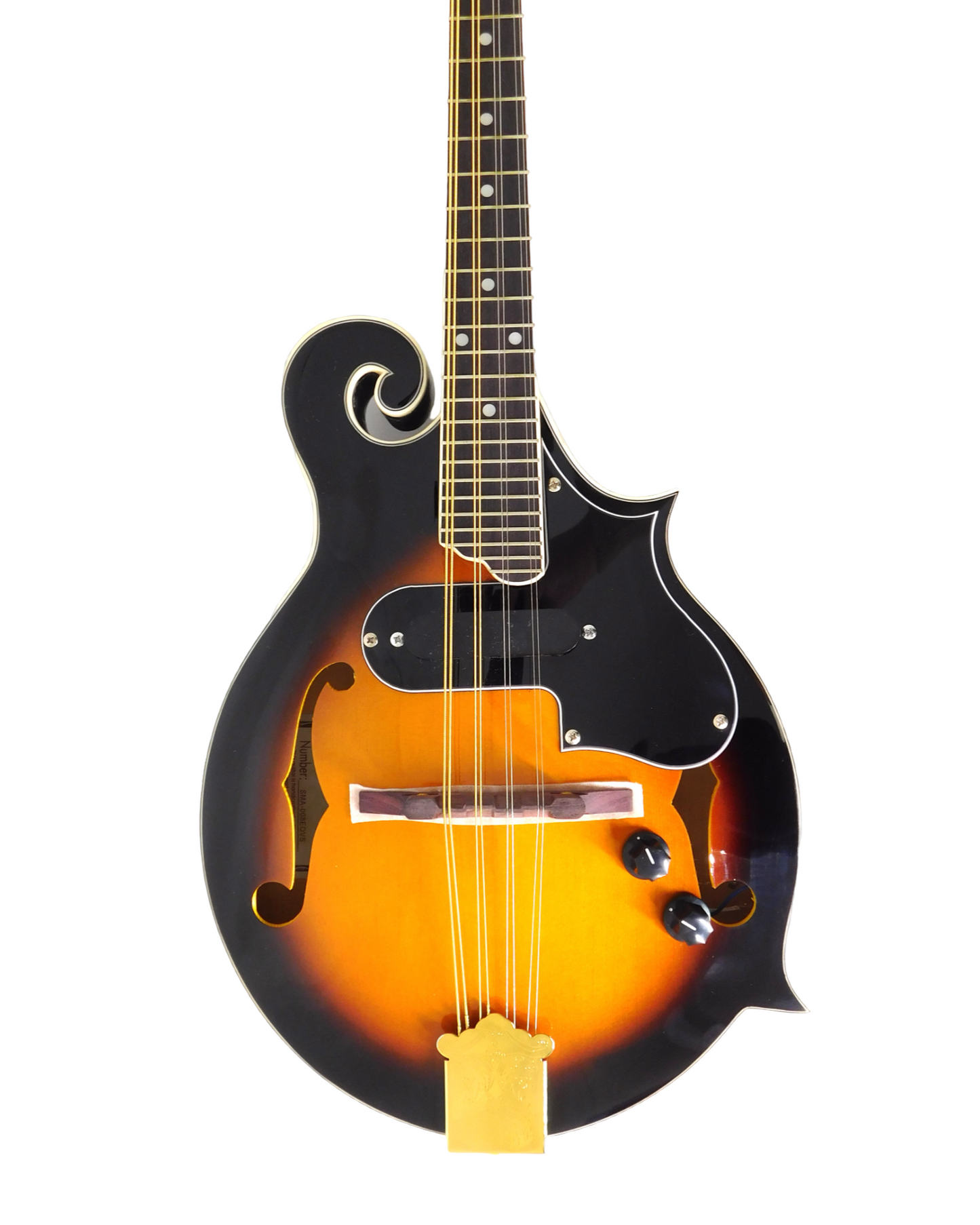 Caraya MA008EQVSHC F-Style Solid Top Electric-Mandolin, Vintage Sunburst + Hard Case