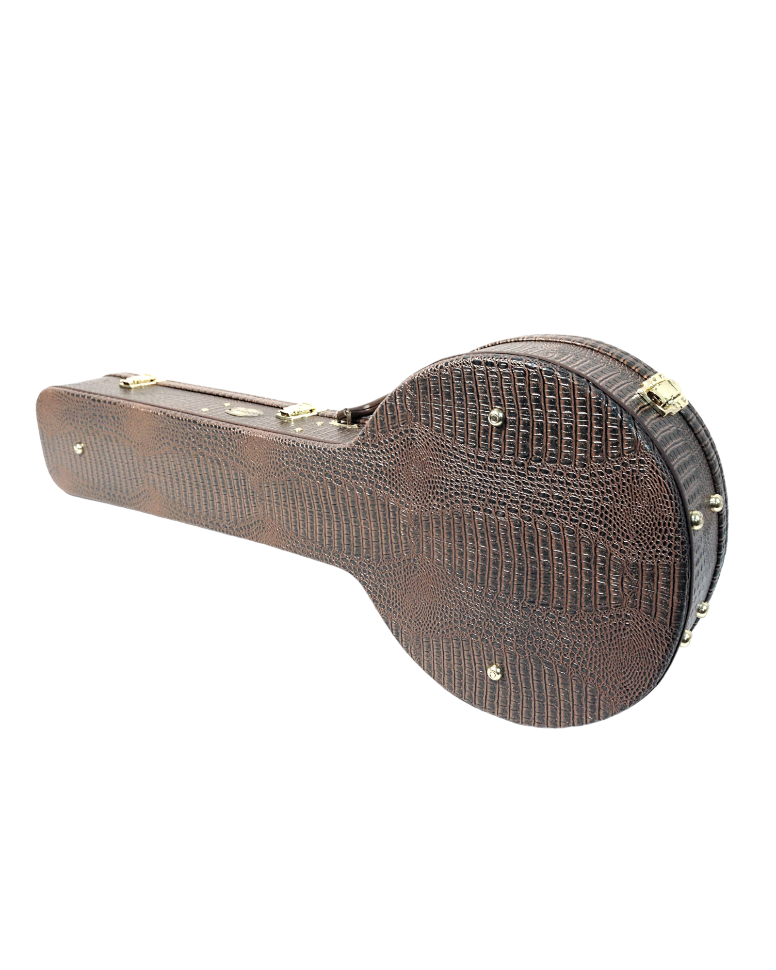 Haze HPBJ1910 Banjo Premium Hard Case