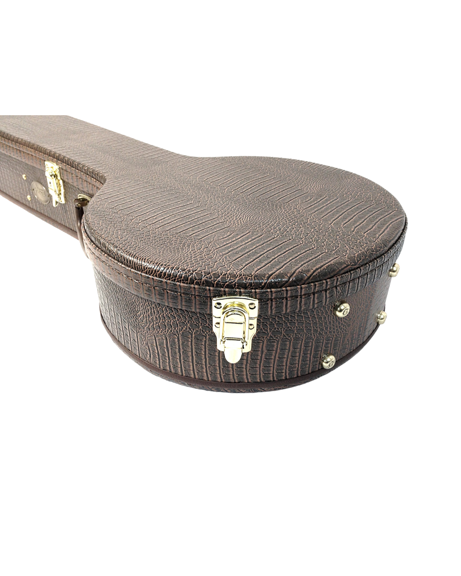 Haze HPBJ1910 Banjo Premium Hard Case
