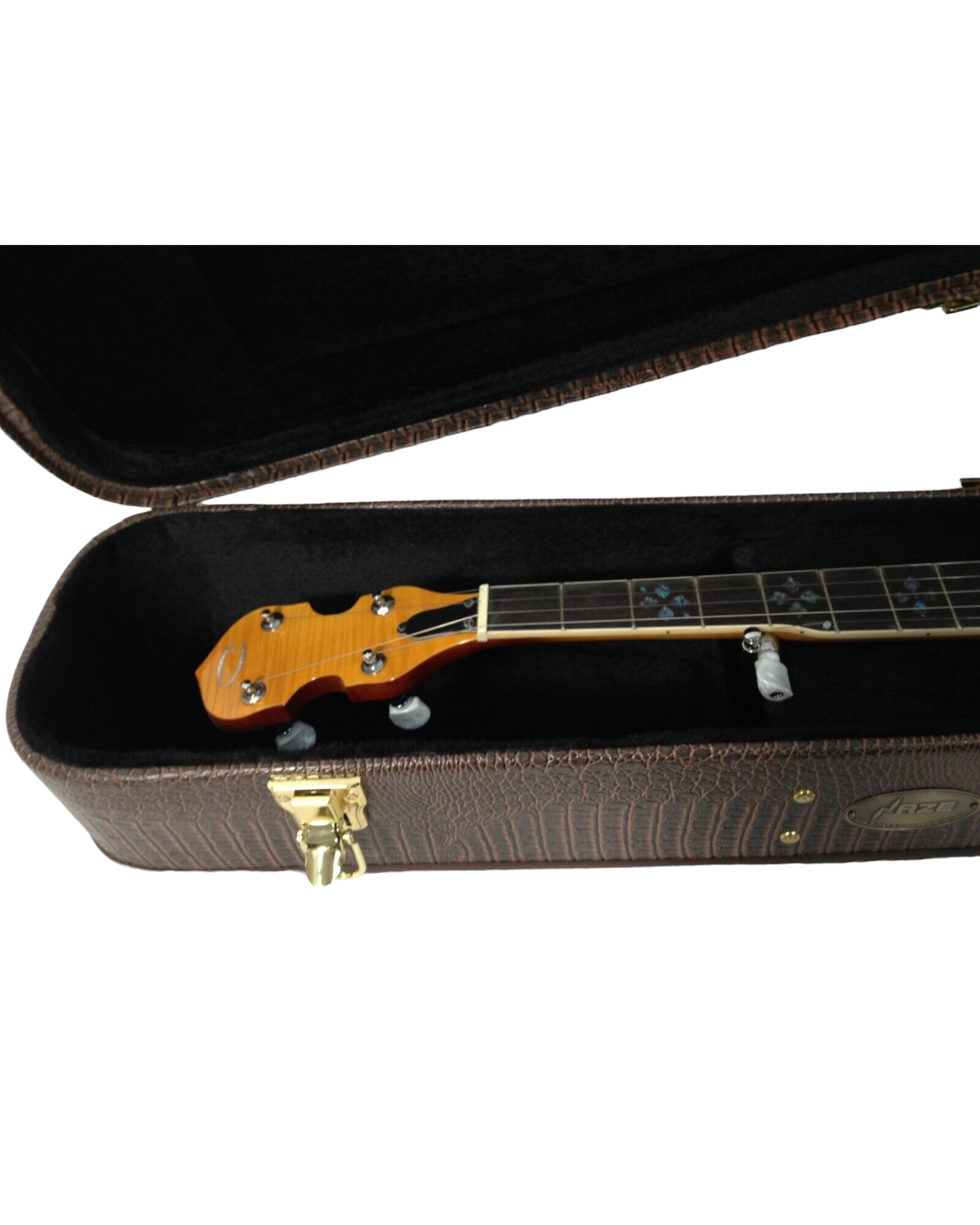 Haze HPBJ1910 Banjo Premium Hard Case