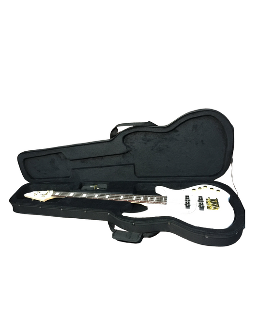 Haze HPAAE10B Ultra-Light Weight Bass Guitar Hard Foam Case