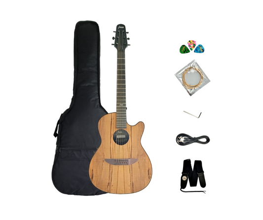 Haze Roundback 38" Traveller Built-In Pickups Acoustic Guitar - Natural HSDP836CEQGC
