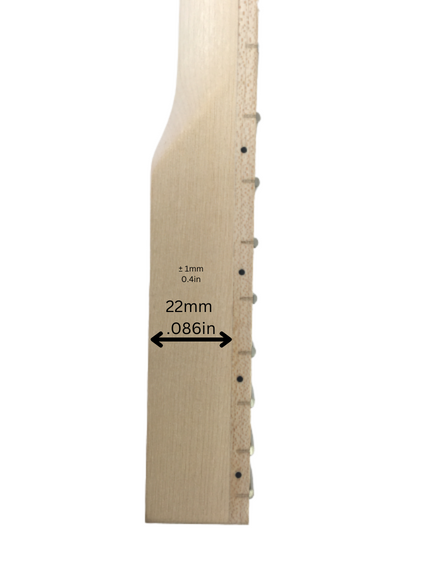 Haze HSST1910GN1B DIY Guitar Neck