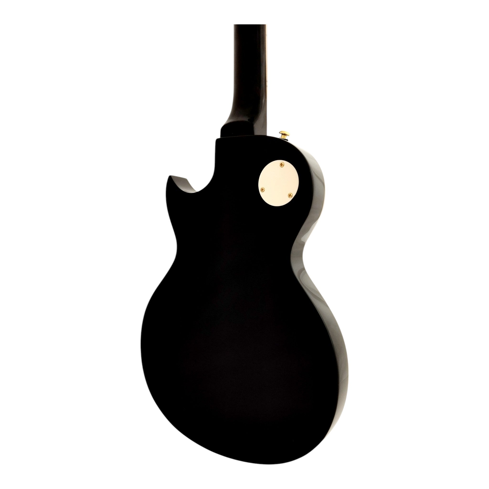 Haze E239 Spalted Maple Semi-Hollow Electric Guitar with Dual Humbuckers