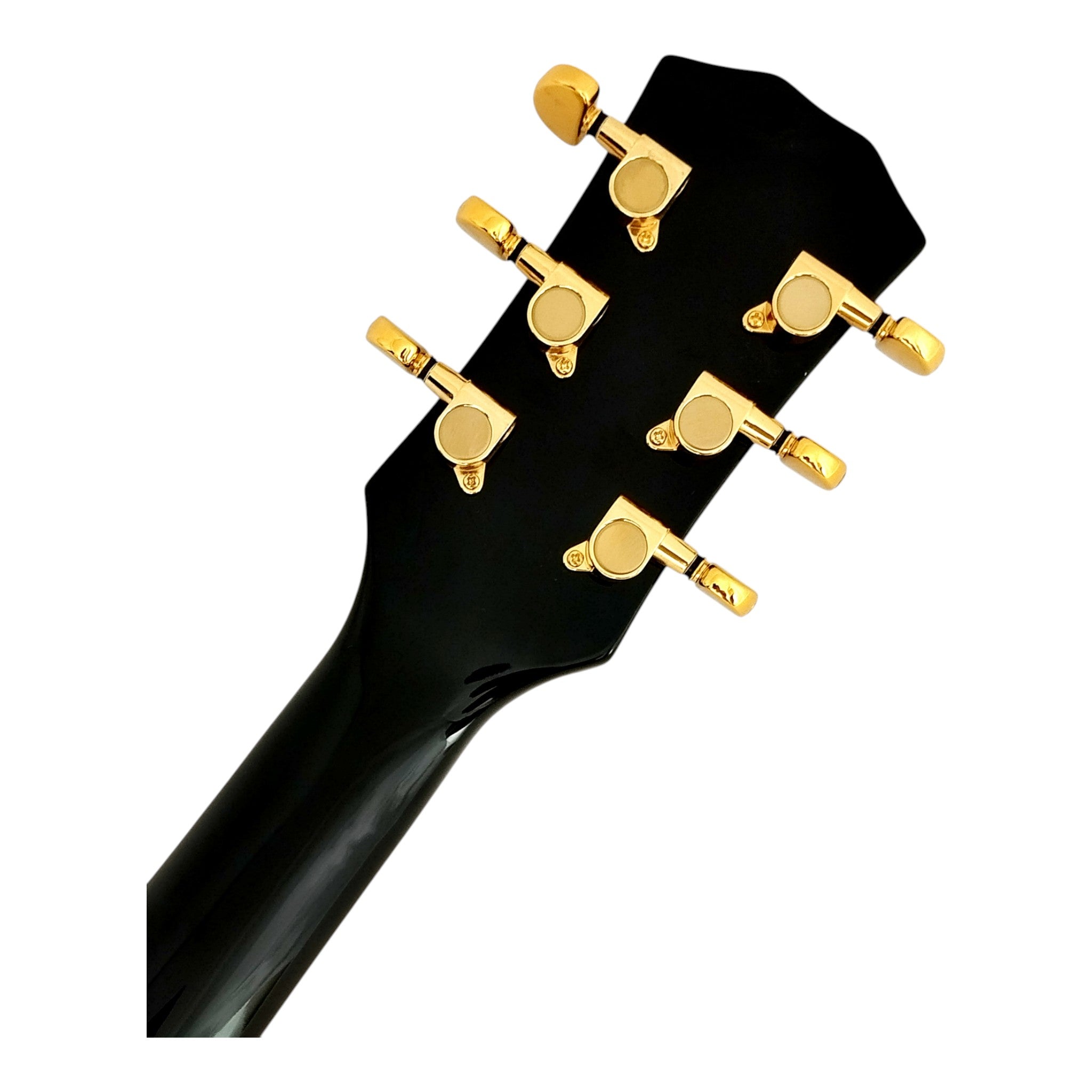 Haze E239 Spalted Maple Semi-Hollow Electric Guitar with Dual Humbuckers