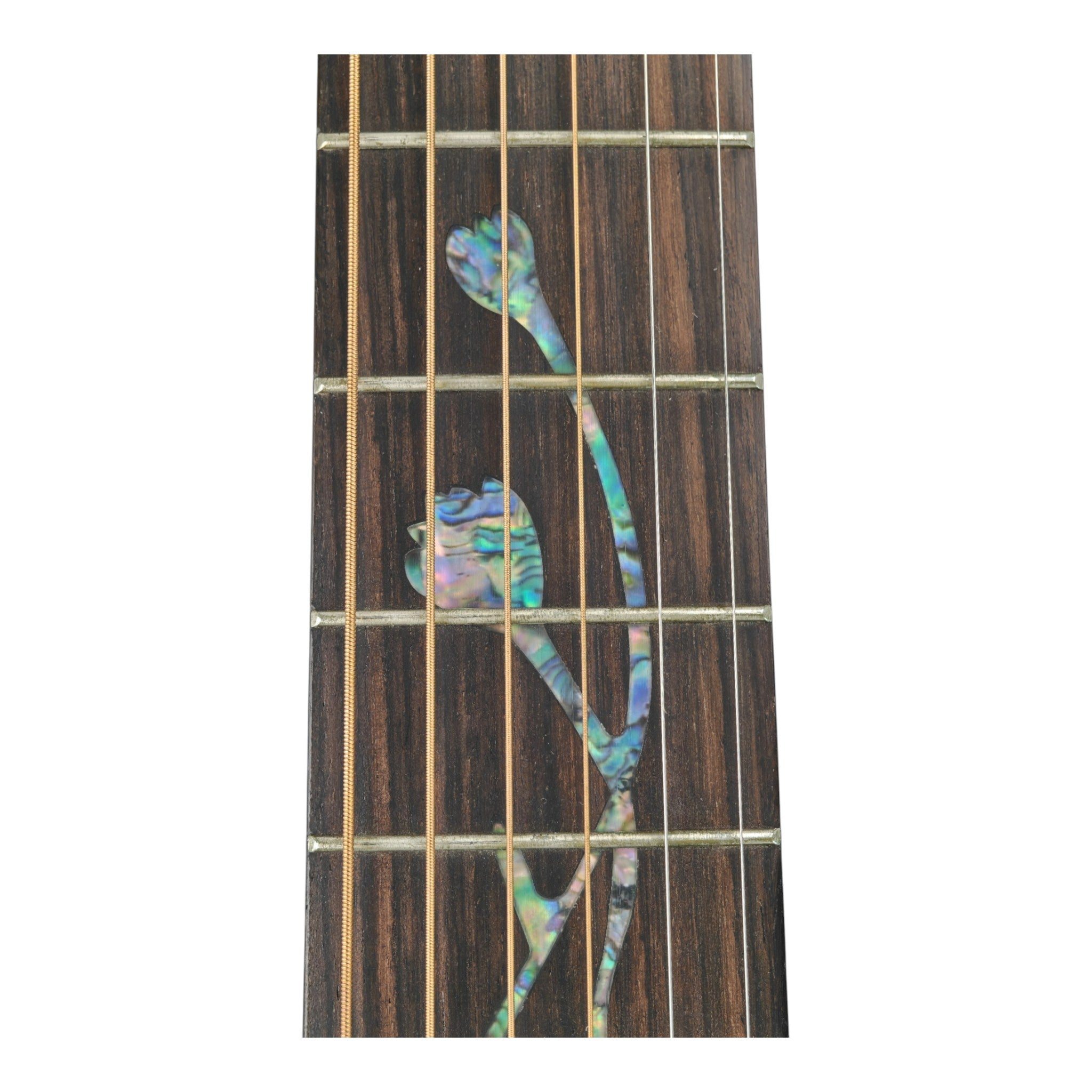 Haze HSC100 'Lotus Duo' Acoustic Guitar - Solid Cedar HCS100CEQ