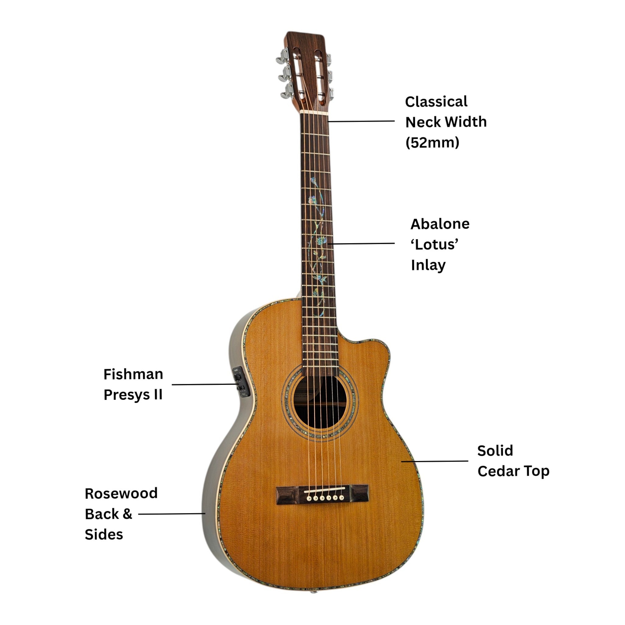 Haze HSC100 'Lotus Duo' Acoustic Guitar - Solid Cedar HCS100CEQ