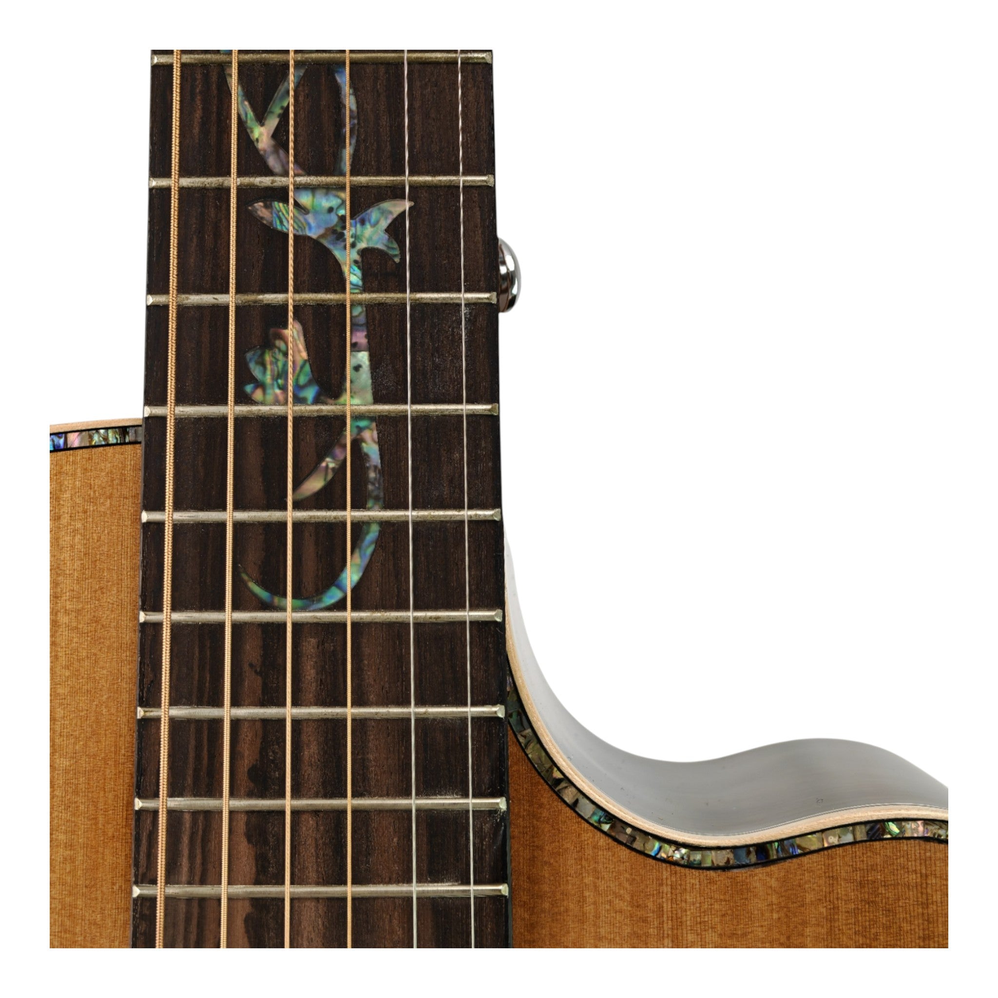 Haze HSC100 'Lotus Duo' Acoustic Guitar - Solid Cedar HCS100CEQ