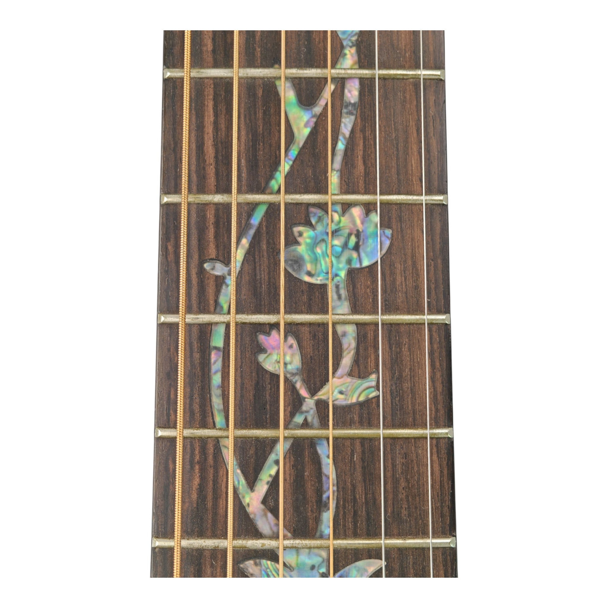 Haze HSC100 'Lotus Duo' Acoustic Guitar - Solid Cedar HCS100CEQ