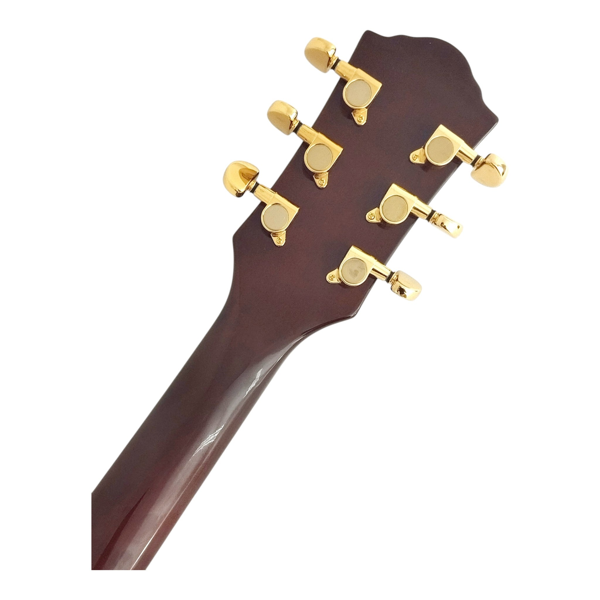 Haze SEG227 Spalted Maple Electric Guitar with Dual Humbuckers