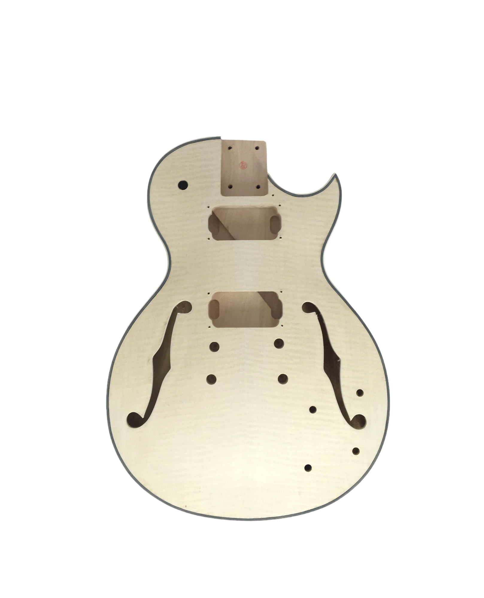 Hollow Body Electric Guitar DIY, No-Soldering, bolt neck E239PBDIY
