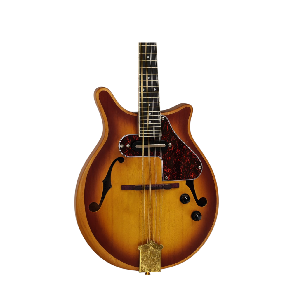 Folk Instruments