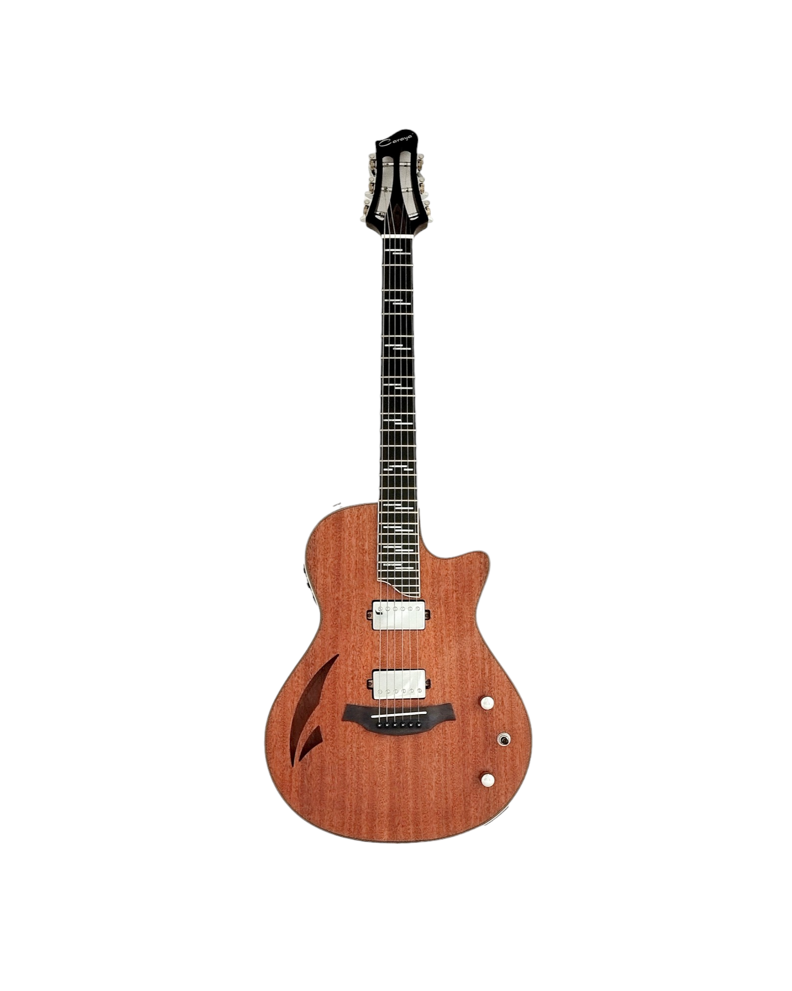 The Swiss Army Knife of Hybrid Electric-Acoustic Guitars w/ (Optional) Foam Case - MULTISPECIALIST2