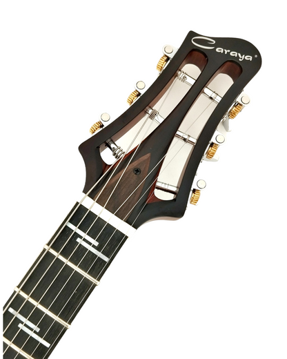 The Swiss Army Knife of Electric Guitars MULTISPECIALIST2