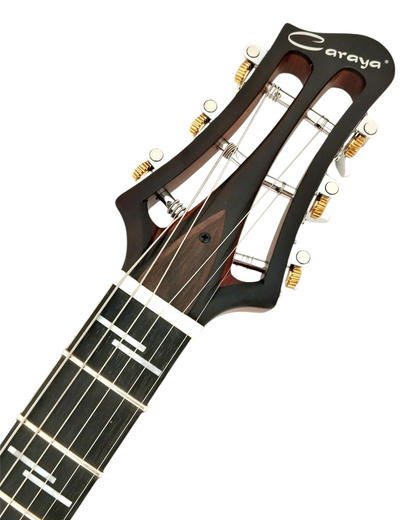 The Hybrid All-In-One Electric-Acoustic Guitar w/ (Optional) Foam Case - MULTISPECIALIST III