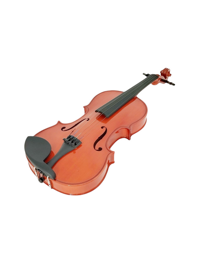 Caraya MV001VT 4/4,3/4,1/2 size Violin outfit w/Extra strings, Foam Hard Case, Bow, Rosin