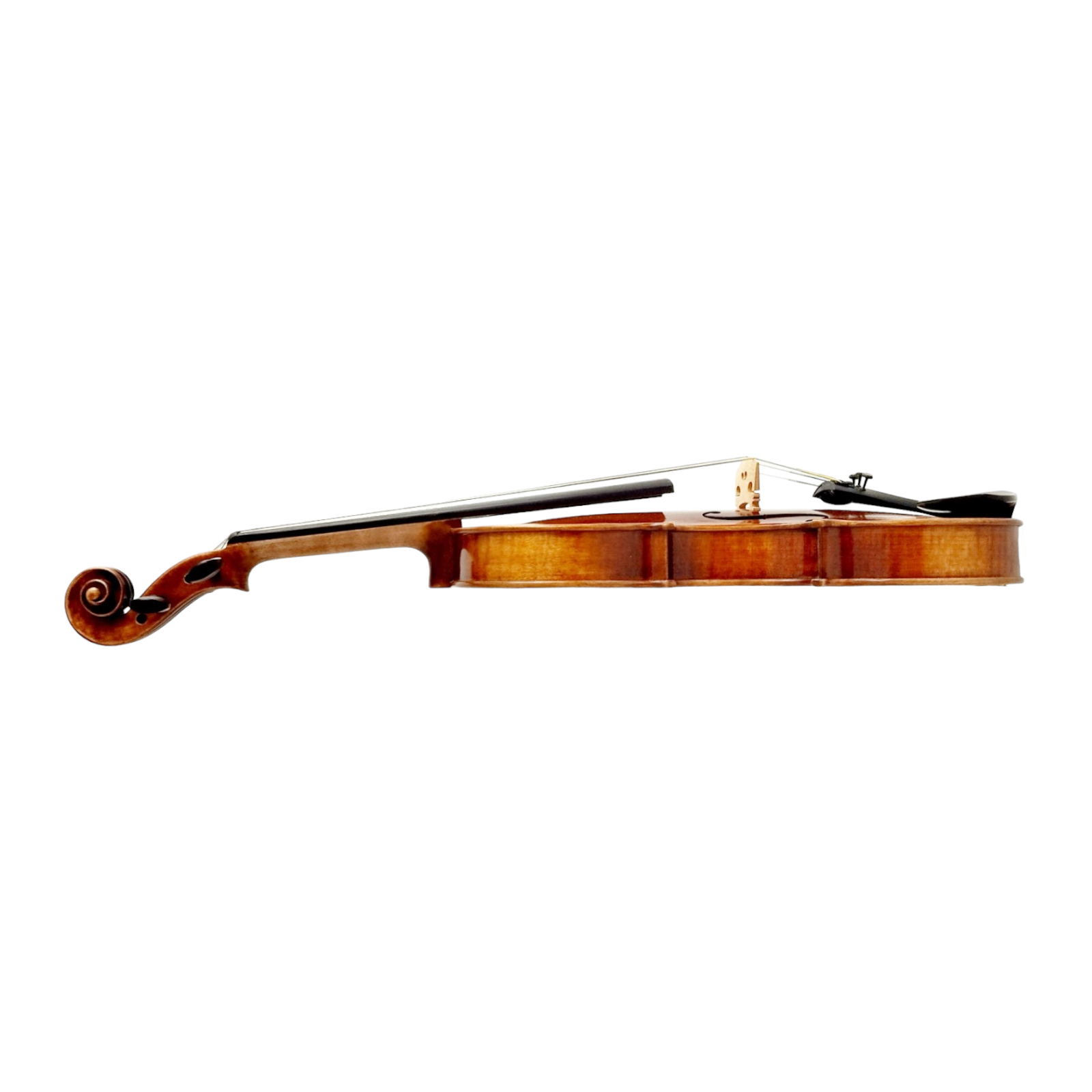 Melodic Majesty, The PVE80 Symphony Violin