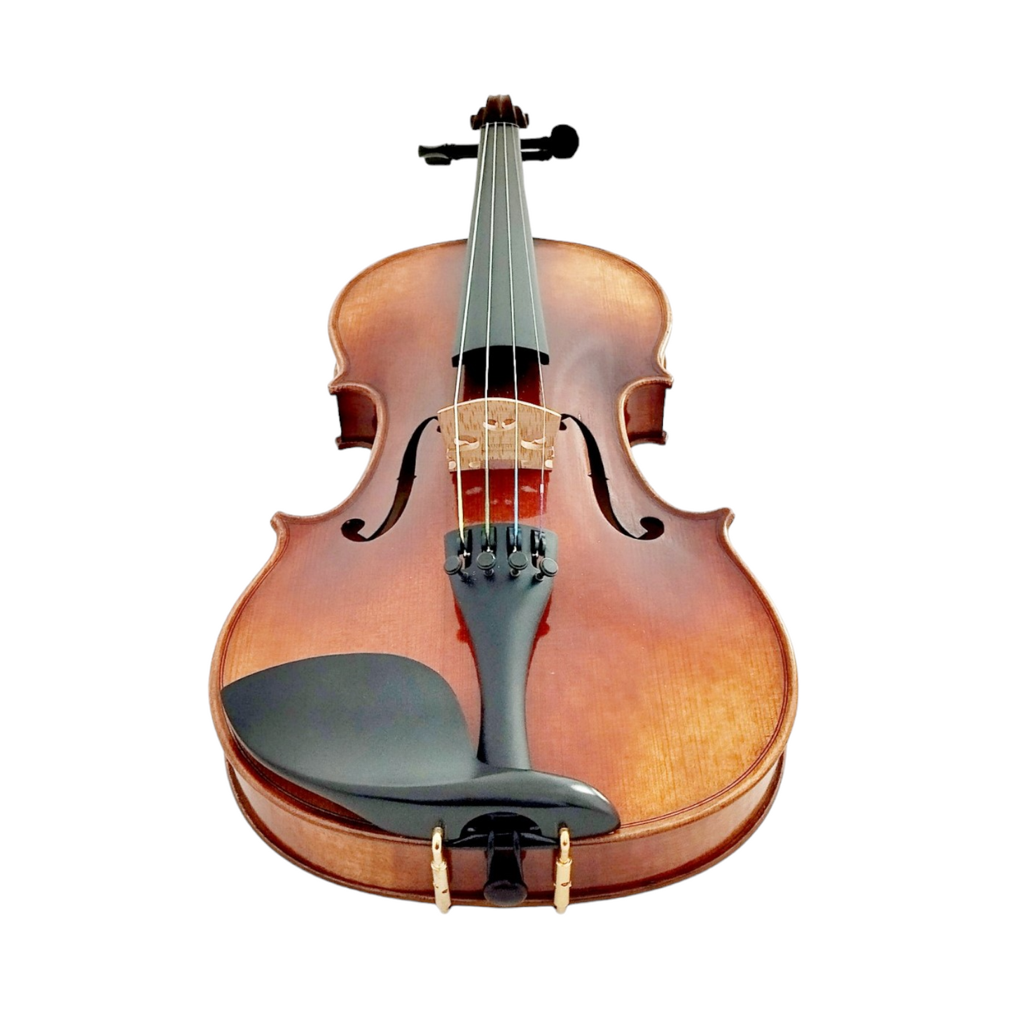 Melodic Majesty, The PVE80 Symphony Violin
