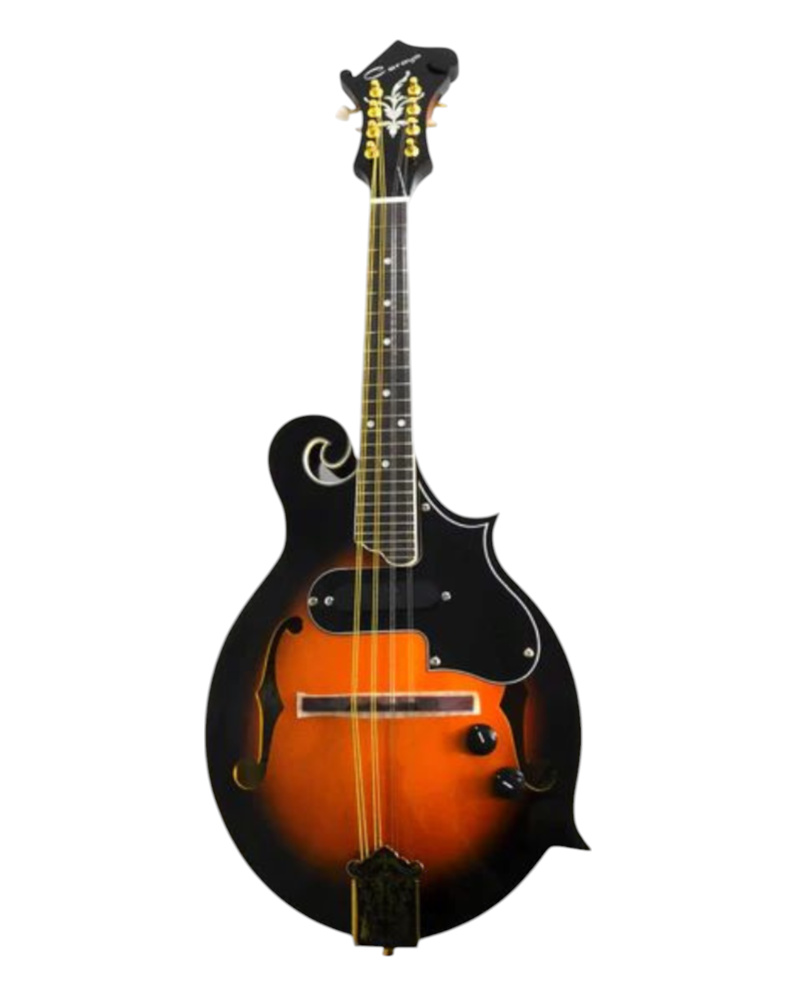 Caraya Solid Spruce Top F-Style Acoustic-Electric Mandolin in Sunburst w/ Accessories & Lockable Hardcase (Optional) - SMA008EQVS