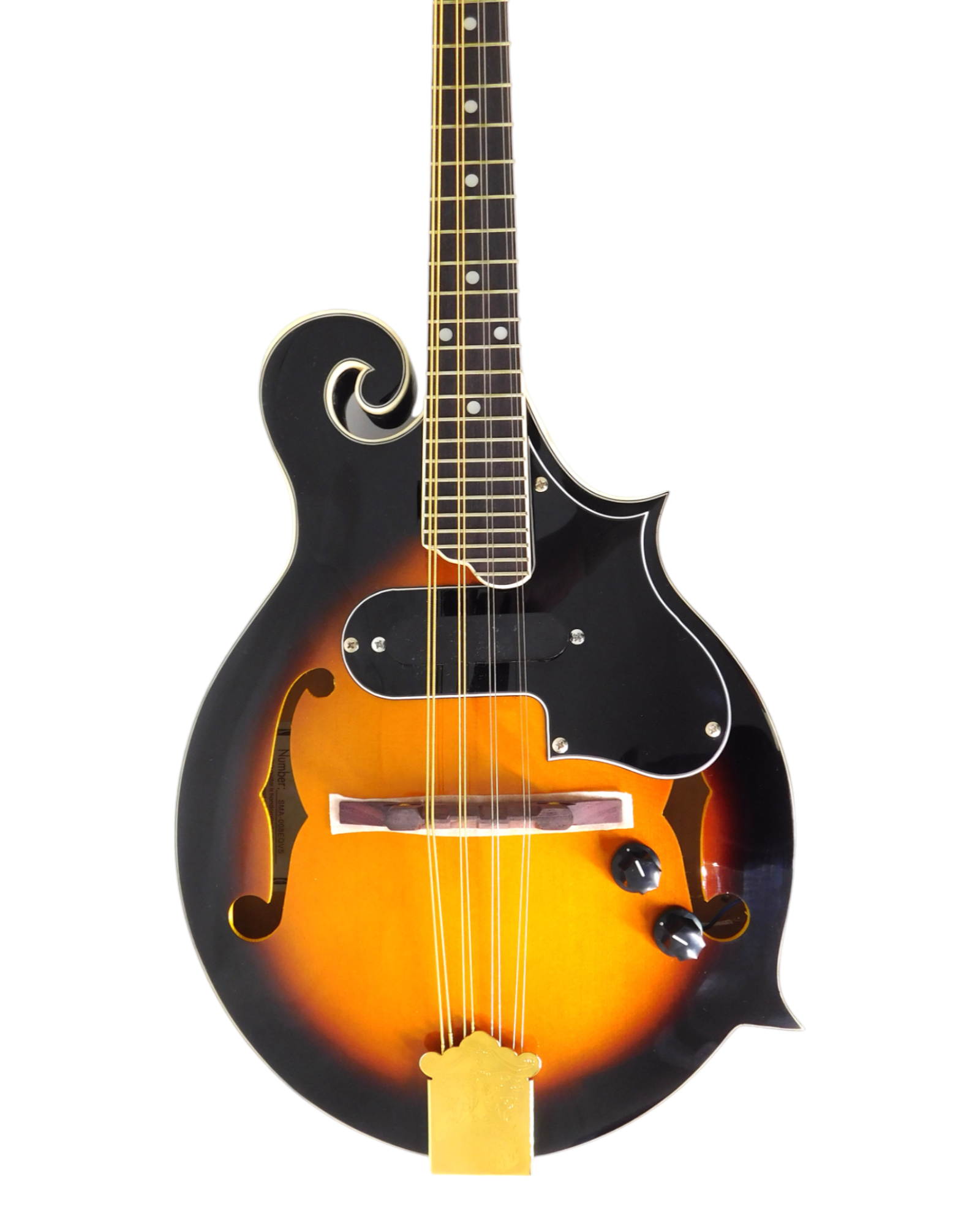 Caraya Solid Spruce Top F-Style Acoustic-Electric Mandolin in Sunburst w/ Accessories & Lockable Hardcase (Optional) - SMA008EQVS
