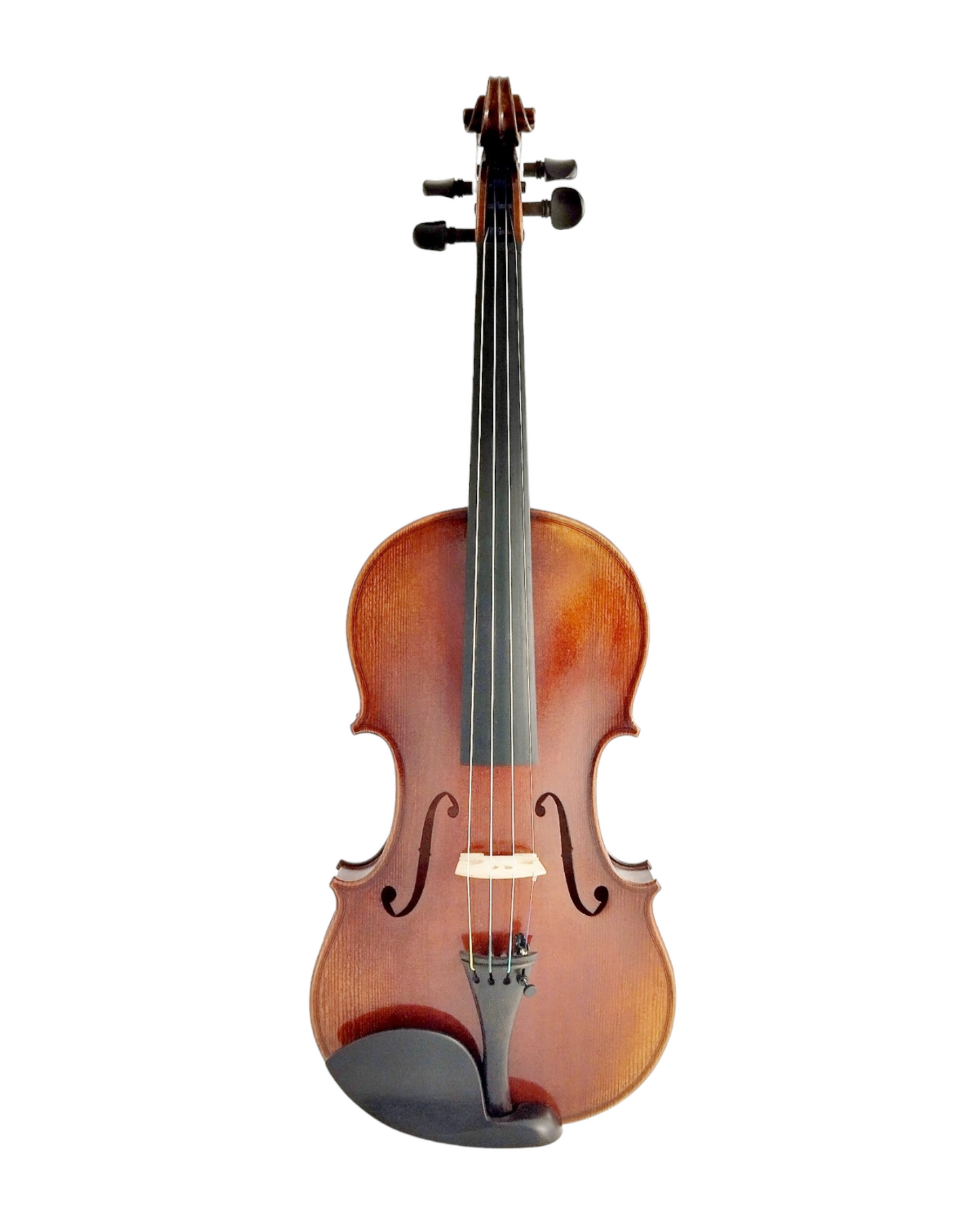 Full Size SRVA211441 Violin Outfit